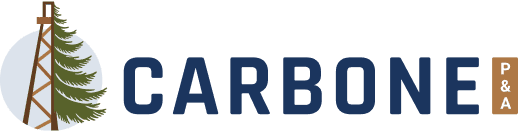 https://carbone.biz/wp-content/uploads/2024/12/logo-10.png